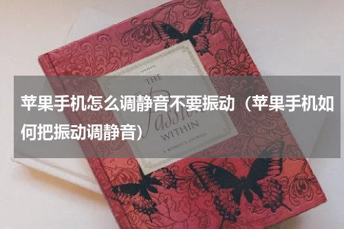 苹果手机怎么调静音不要振动（苹果手机如何把振动调静音）