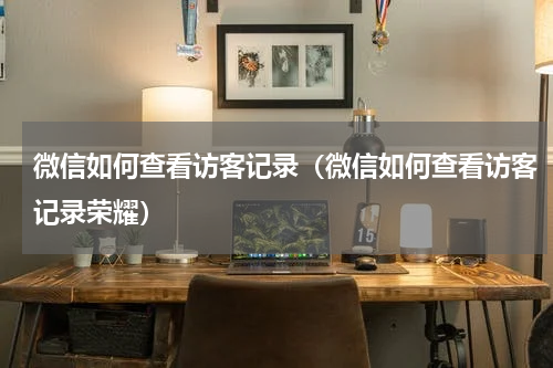 微信如何查看访客记录（微信如何查看访客记录荣耀）