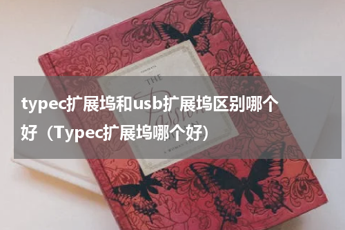 typec扩展坞和usb扩展坞区别哪个好(Typec扩展坞哪个好)