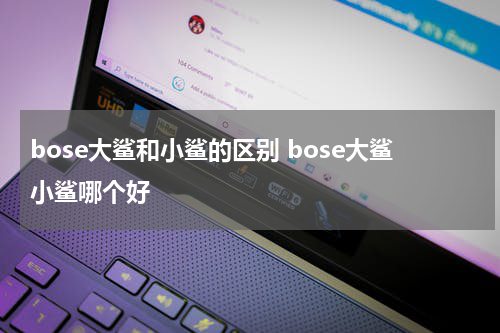 bose大鲨和小鲨的区别 bose大鲨小鲨哪个好