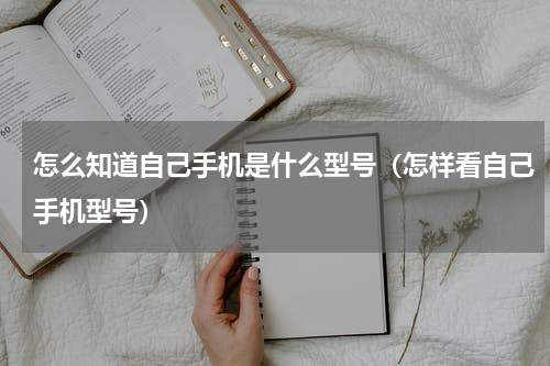 怎么知道自己手机是什么型号(怎样看自己手机型号)