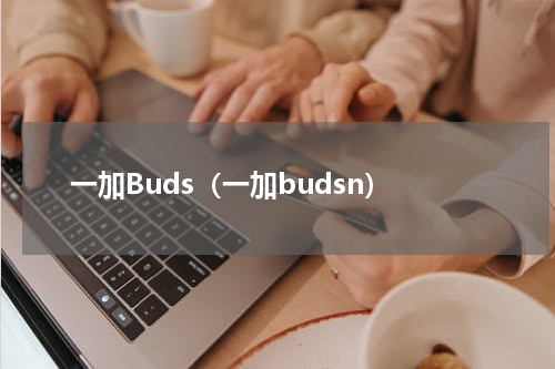 一加Buds（一加budsn）