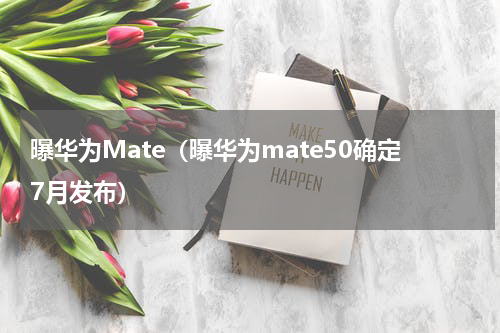 曝华为Mate（曝华为mate50确定7月发布）