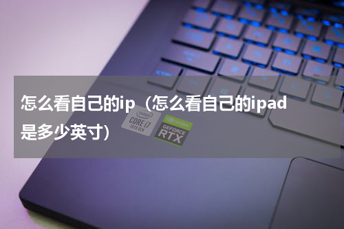 怎么看自己的ip（怎么看自己的ipad是多少英寸）