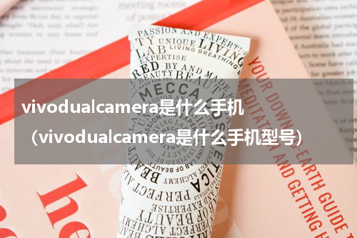 vivodualcamera是什么手机（vivodualcamera是什么手机型号）