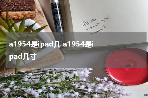 a1954是ipad几 a1954是ipad几寸