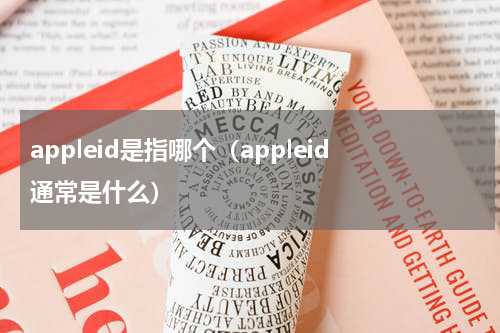 appleid是指哪个（appleid通常是什么）