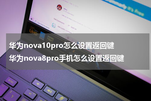 华为nova10pro怎么设置返回键 华为nova8pro手机怎么设置返回键