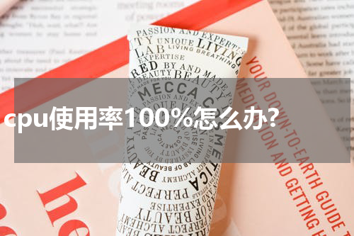 cpu使用率100%怎么办?