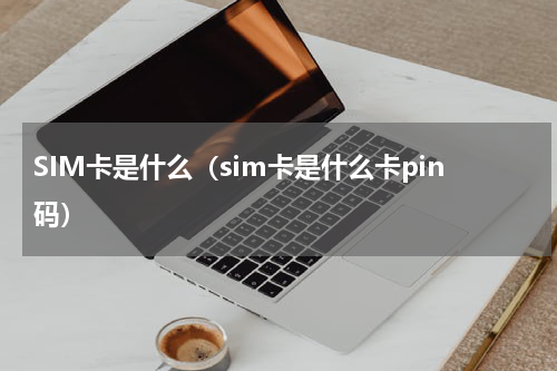 SIM卡是什么(sim卡是什么卡pin码)