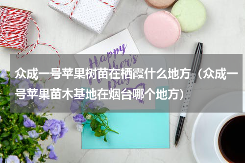 众成一号苹果树苗在栖霞什么地方（众成一号苹果苗木基地在烟台哪个地方）