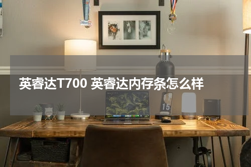 英睿达T700 英睿达内存条怎么样