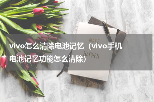 vivo怎么清除电池记忆（vivo手机电池记忆功能怎么清除）
