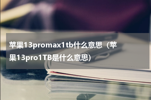 苹果13promax1tb什么意思（苹果13pro1TB是什么意思）
