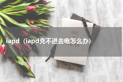 iapd（iapd充不进去电怎么办）