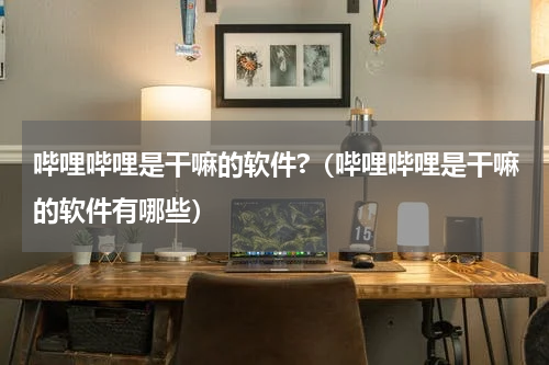 哔哩哔哩是干嘛的软件?（哔哩哔哩是干嘛的软件有哪些）