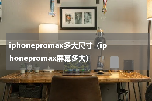 iphonepromax多大尺寸（iphonepromax屏幕多大）