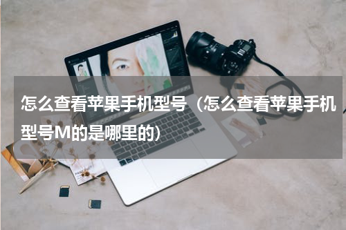 怎么查看苹果手机型号（怎么查看苹果手机型号M的是哪里的）