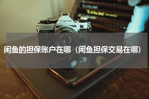 闲鱼的担保账户在哪（闲鱼担保交易在哪）