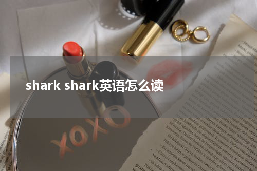 shark shark英语怎么读
