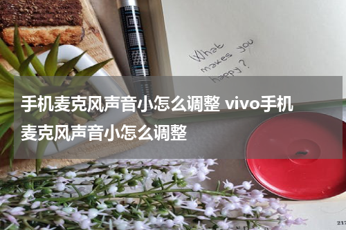 手机麦克风声音小怎么调整 vivo手机麦克风声音小怎么调整