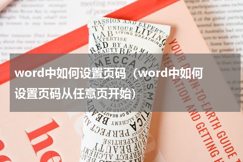 word中如何设置页码（word中如何设置页码从任意页开始）