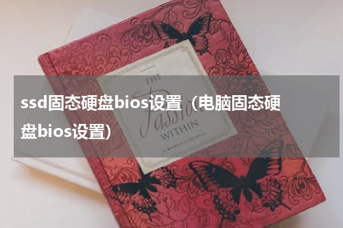 ssd固态硬盘bios设置（电脑固态硬盘bios设置）