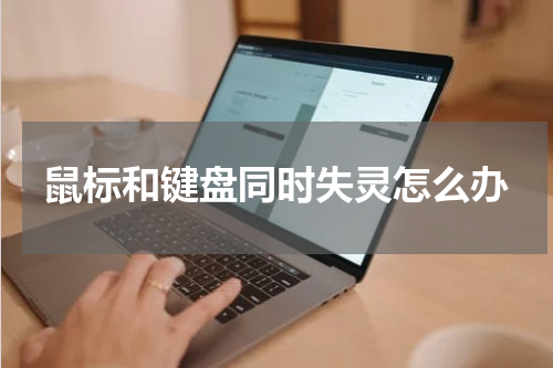 鼠标和键盘同时失灵怎么办