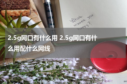 2.5g网口有什么用 2.5g网口有什么用配什么网线