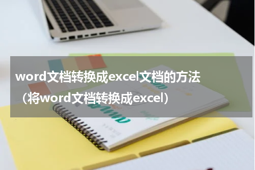 word文档转换成excel文档的方法（将word文档转换成excel）