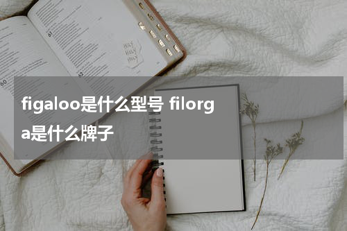 figaloo是什么型号 filorga是什么牌子