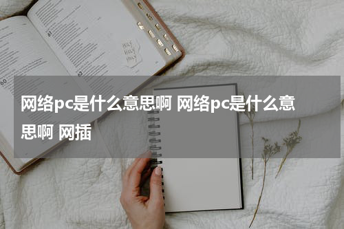 网络pc是什么意思啊 网络pc是什么意思啊 网插