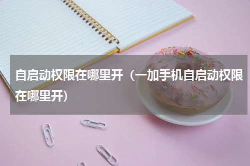 自启动权限在哪里开（一加手机自启动权限在哪里开）