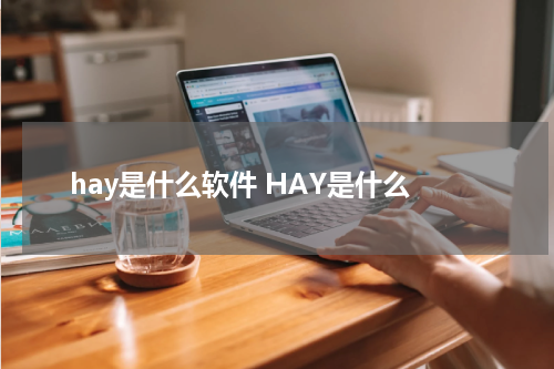 hay是什么软件 HAY是什么