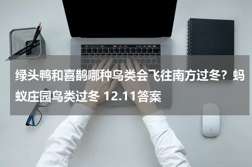 绿头鸭和喜鹊哪种鸟类会飞往南方过冬？蚂蚁庄园鸟类过冬 12.11答案