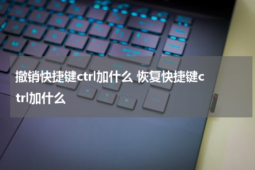 撤销快捷键ctrl加什么 恢复快捷键ctrl加什么