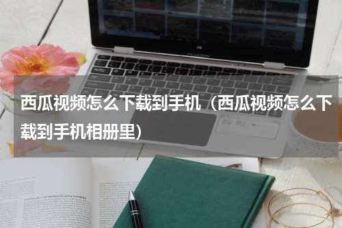 西瓜视频怎么下载到手机（西瓜视频怎么下载到手机相册里）