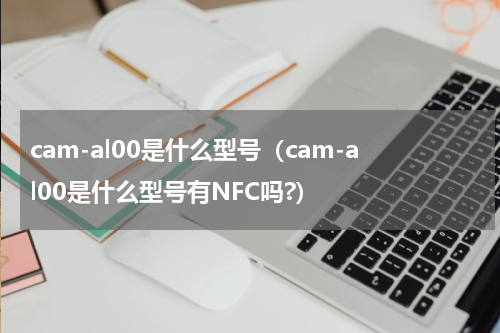 cam-al00是什么型号（cam-al00是什么型号有NFC吗?）