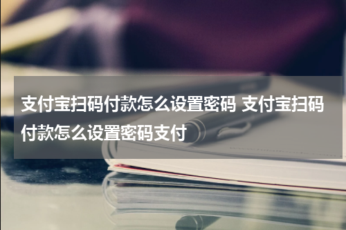 支付宝扫码付款怎么设置密码 支付宝扫码付款怎么设置密码支付