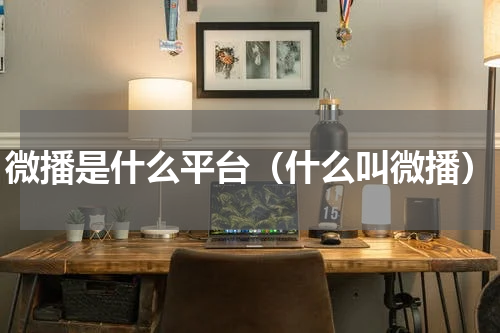微播是什么平台（什么叫微播）