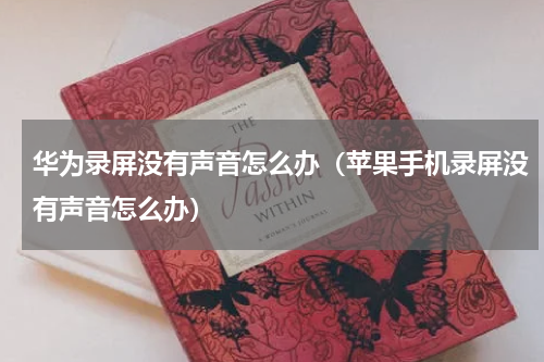 华为录屏没有声音怎么办（苹果手机录屏没有声音怎么办）