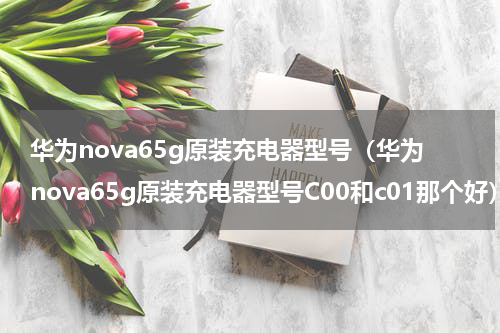 华为nova65g原装充电器型号（华为nova65g原装充电器型号C00和c01那个好）