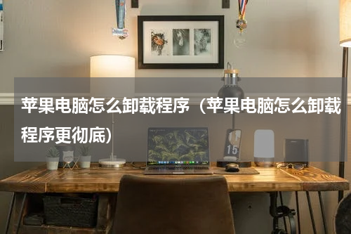 苹果电脑怎么卸载程序（苹果电脑怎么卸载程序更彻底）
