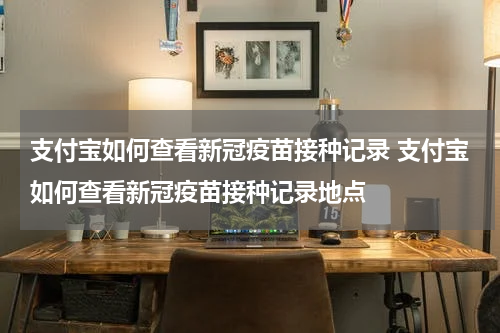 支付宝如何查看新冠疫苗接种记录 支付宝如何查看新冠疫苗接种记录地点