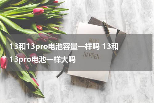 13和13pro电池容量一样吗 13和13pro电池一样大吗