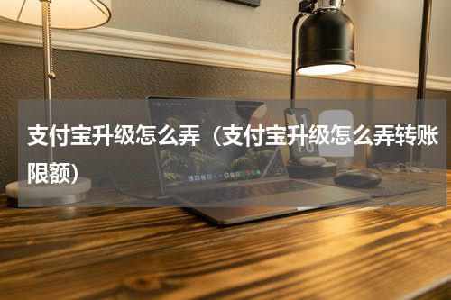 支付宝升级怎么弄（支付宝升级怎么弄转账限额）