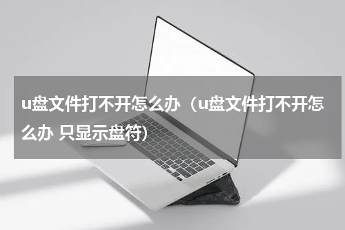 u盘文件打不开怎么办（u盘文件打不开怎么办 只显示盘符）