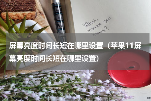 屏幕亮度时间长短在哪里设置（苹果11屏幕亮度时间长短在哪里设置）