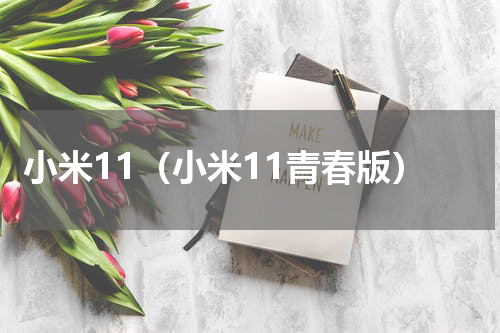 小米11（小米11青春版）