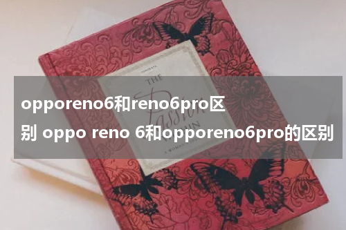 opporeno6和reno6pro区别 oppo reno 6和opporeno6pro的区别